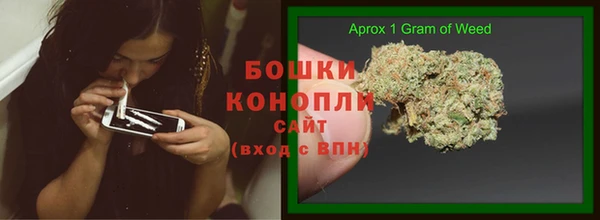 2c-b Краснослободск
