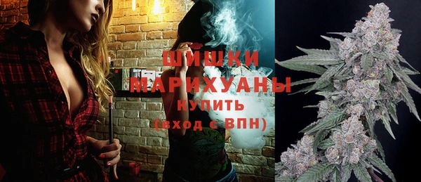 шишки Краснотурьинск