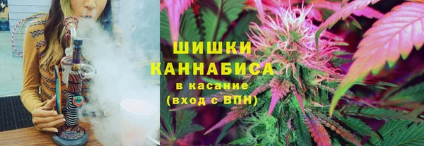 2c-b Краснослободск