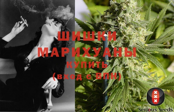 шишки Краснотурьинск