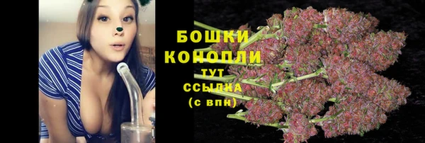 молекула духа Красноперекопск