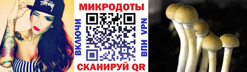 Галлюциногенные грибы ЛСД  Купить где  Усть-Джегута 
