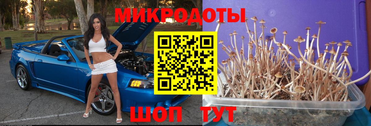 Псилоцибиновые грибы MAGIC MUSHROOMS Усть-Джегута