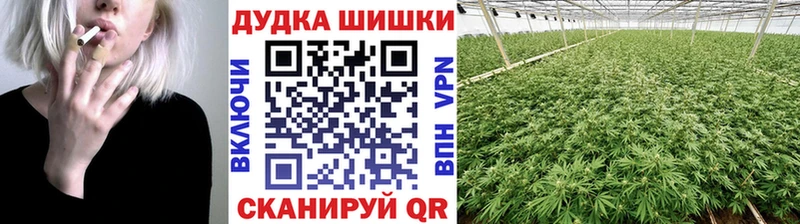 Купить  Усть-Джегута  Бошки марихуана MAZAR 